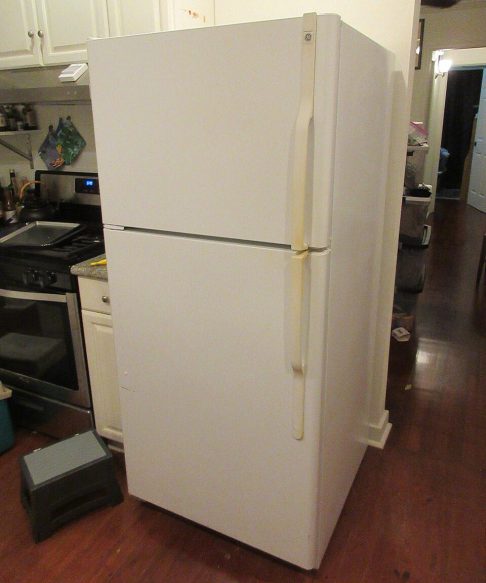 A General Electric (GE) foi uma das primeiras a ingressar nesse ramo e lançou seu modelo doméstico em 1927.