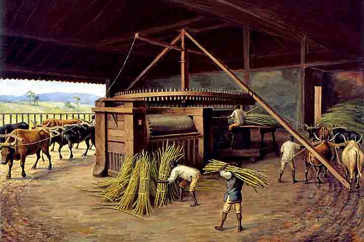 O bagaço que resulta da moagem pode ser queimado em caldeiras para produzir vapor. Ele é direcionado para turbinas especiais e gera bioeletricidade ou energia elétrica da biomassa. 