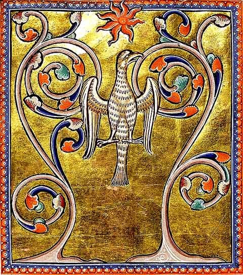 A figura da fênix se espalhou por diversas culturas. Em todas, manteve o simbolismo de renascimento e transformação espiritual.