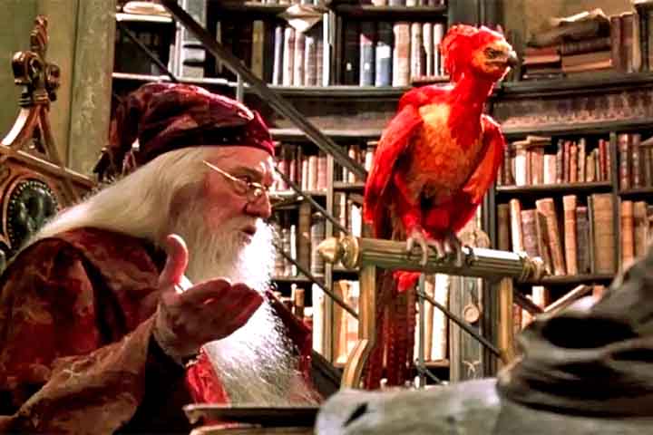 Em Harry Potter, a fênix aparece como Fawkes, a ave leal de Dumbledore. Suas lágrimas curam e ela renasce do fogo.
