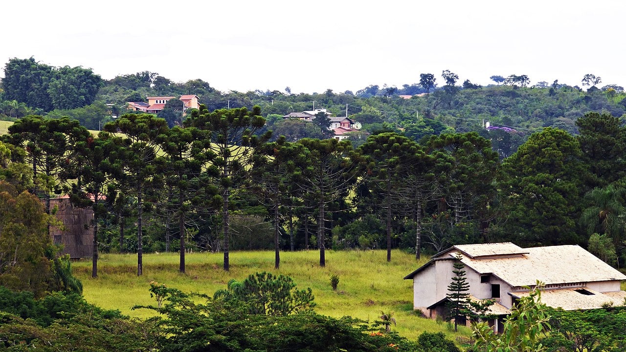 Vinhedo (SP) - 69,65 pontos - 
Cidade com alto padrão de vida, segurança e infraestrutura. Destaca-se pela tranquilidade e acesso a áreas verdes. Cultura e lazer são valorizados, com eventos importantes como a Festa da Uva.
