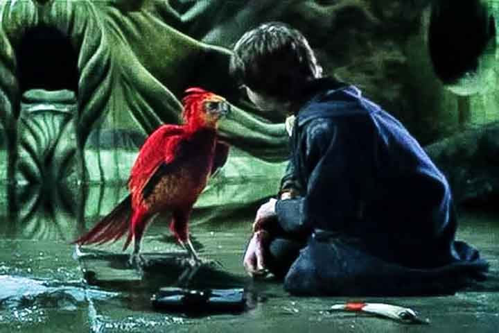 Fawkes salva Harry da morte na Câmara Secreta, trazendo a espada de Godric Gryffindor. É símbolo de ajuda divina em momentos críticos.
