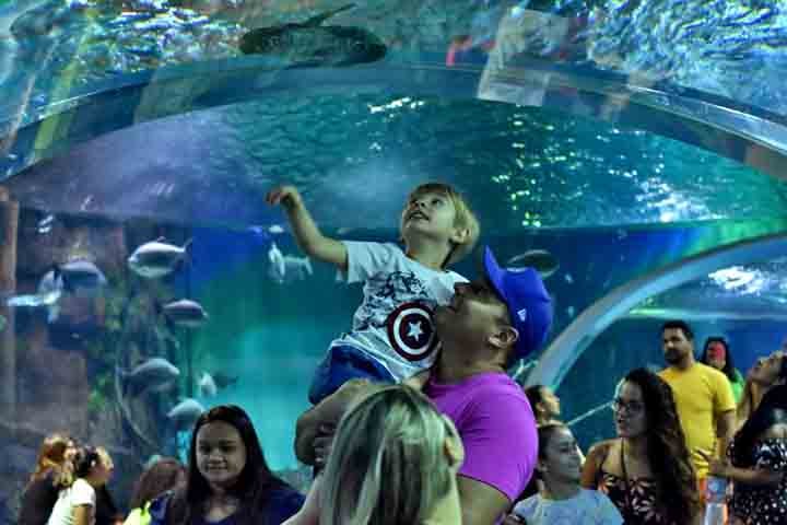 O Bioparque Pantanal, portanto, representa um novo modelo de espaço público. Um lugar onde arquitetura, tecnologia e natureza dialogam com a sociedade de forma direta, educativa e acessível.