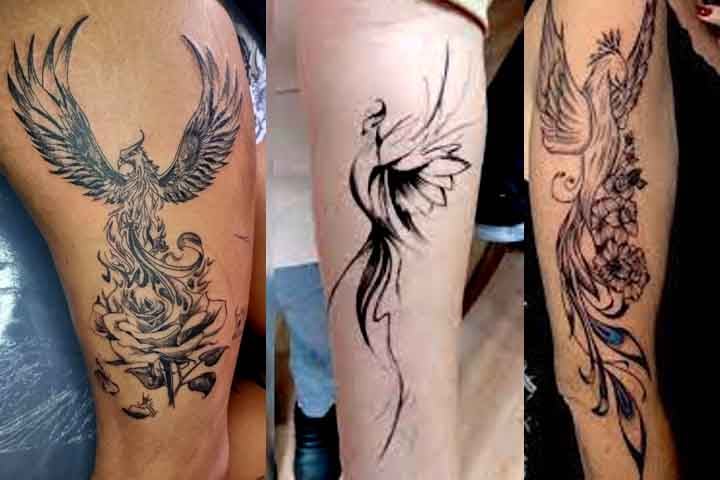 China, Japão, Egito e Grécia ainda mantêm viva a figura da fênix. Cada cultura a enxerga como símbolo de virtudes e transformação.