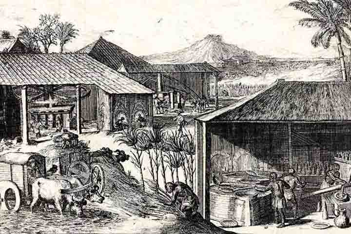 Dessa forma, a cana-de-açúcar tem origem na Oceania, mais precisamente onde hoje é a ilha de Nova Guiné, ao norte da Austrália, cerca de 6000 a.C.