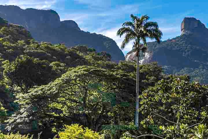 A Floresta da Tijuca, onde fica o hotel, é uma das maiores florestas urbanas do mundo.