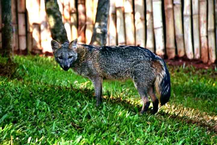 Em tempos de urgência climática e perda de biodiversidade, iniciativas como essa se tornam essenciais para formar novas gerações mais conscientes e preparadas para cuidar do planeta.