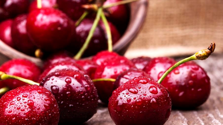 6. Wiśnia nadwiślanka: É uma cereja cultivada tanto para consumo direto quanto para fins de processamento nas voivodias de Mazowieckie, Świętokrzyskie e Lubelskie, na Polônia, desde o século XX. Elas são das cerejeiras sokówka , a palavra refere-se à palavra polonesa para suco, sok , e as cerejas são usadas principalmente para fazer sucos de frutas.