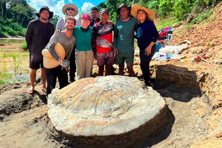 Uma equipe de pesquisadores do Acre e de São Paulo descobriu um fóssil raro de uma tartaruga gigante que viveu há cerca de 13 milhões de anos na região amazônica.