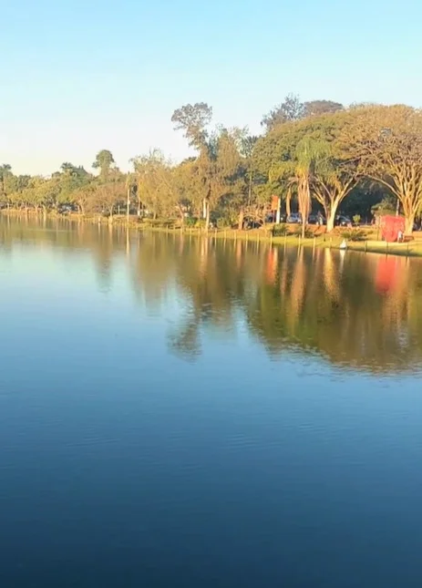O Lago Vitória Régia, em Holambra, tem uma bela paisagem onde vivem animais que chamam a atenção dos visitantes, como patos e capivaras. Um lugar perfeito para contemplação e descanso.
