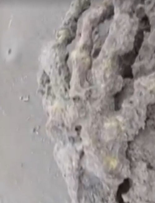 O que mais assustou os dois e diversas pessoas que acompanharam as imagens é o formato e o tamanho dos ossos.