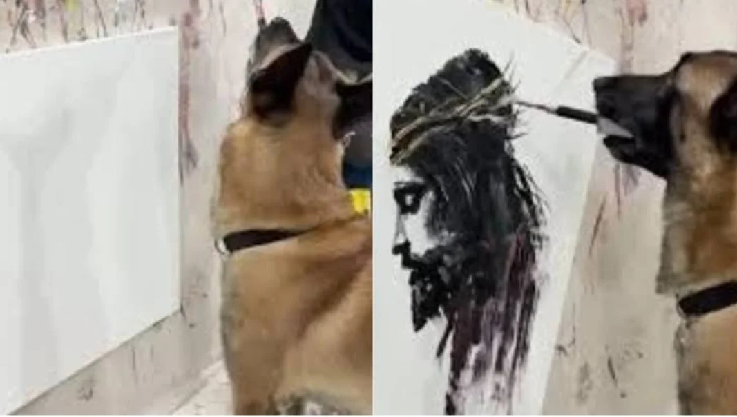 Um pastor belga malinois está chamando atenção na internet por causa de um talento que surpreende: ele usa um pincel com a boca e cria quadros que impressionam.
