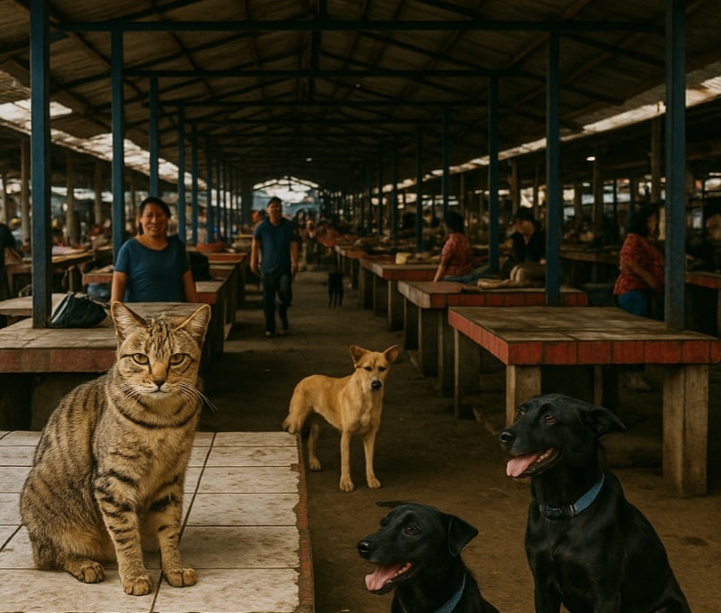 Em 2023, as autoridades da Indonésia anunciaram o fim do abate de cães e gatos no mercado de animais Tomohon Extreme Market, localizado na ilha de Sulawesi.