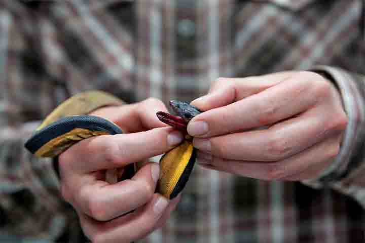 A cobra-do-mar-pelágio (Hydrophis platurus) teve origem nos oceanos tropicais e subtropicais do mundo, incluindo o Pacífico e o Índico. 