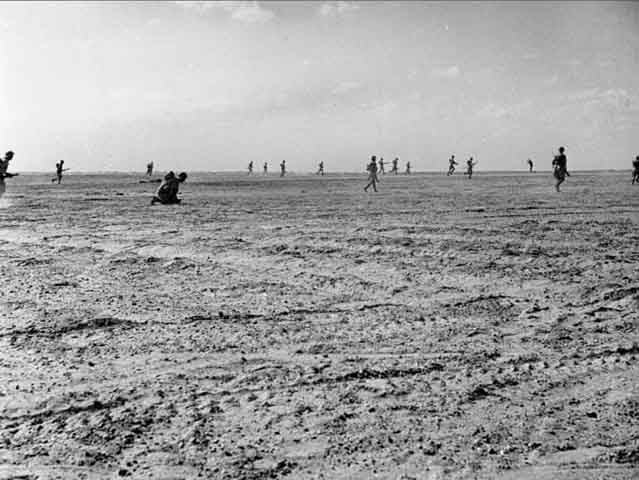 Elas ficavam em um local marcado pelas Batalhas de El-Alamein (na foto). Os resultados da pesquisa foram publicados na revista Antiquity em 3/12/24.