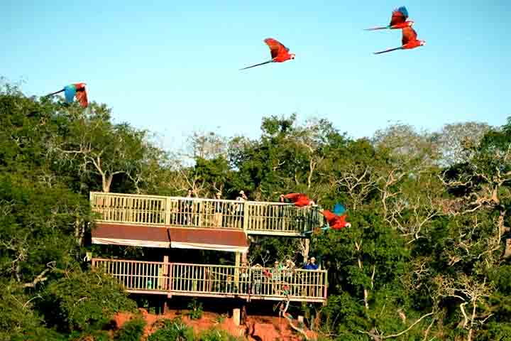Desde que se tornou Reserva Particular do Patrimônio Natural, apenas três atividades são permitidas no local: pesquisa científica, ecoturismo e educação ambiental. 