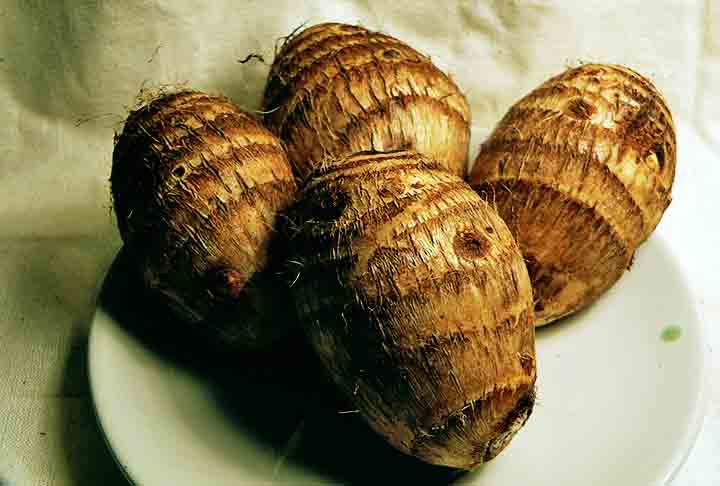 Outra opção é o inhame (taro é um tipo), que é composto por carboidrato de baixo índice glicêmico, proteína, ter alto teor de fibras e micronutrientes (potássio, cálcio, magnésio). Ele auxilia no controle dos sintomas da TPM, da menopausa e no funcionamento do sistema reprodutor. 