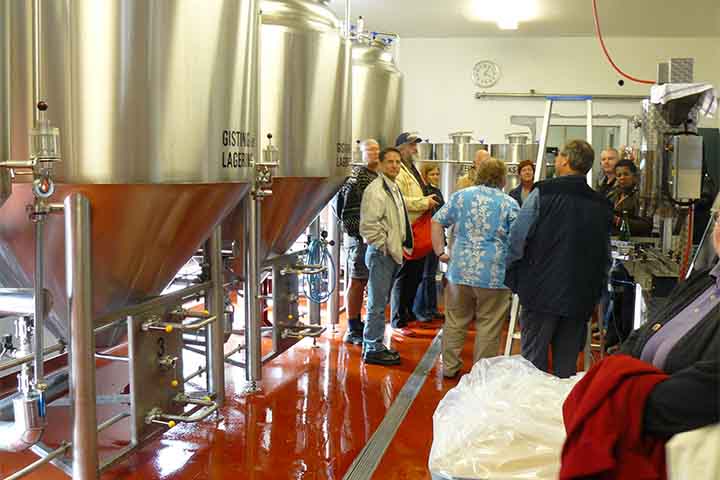 As cervejas são classificadas de acordo com seu teor de álcool e extrato, pelo malte ou de acordo com o tipo de fermentação. Estima-se que existam atualmente mais de 20 mil tipos de cervejas no mundo. 