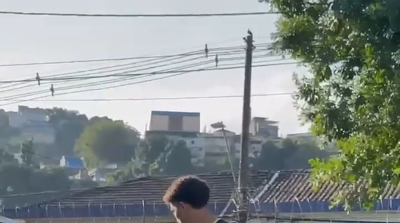 Robinho Jr. e Neymar treinam juntos no Santos