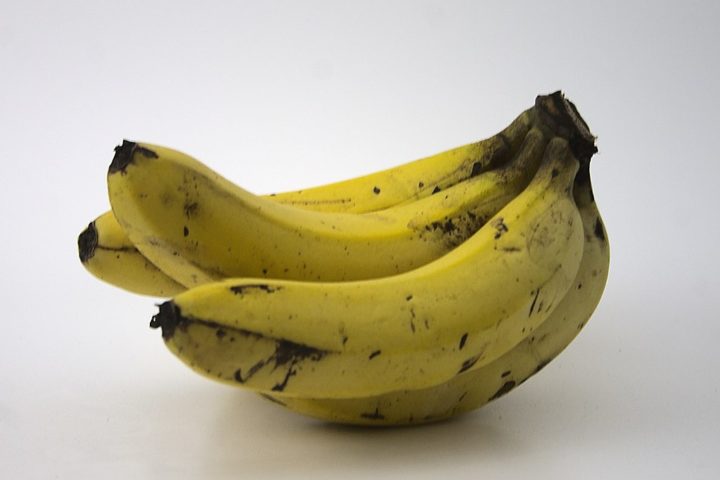 A banana não resulta de um ovário fecundado, já que muitas cultivares são partenocárpicas, ou seja, se desenvolvem sem fecundação.