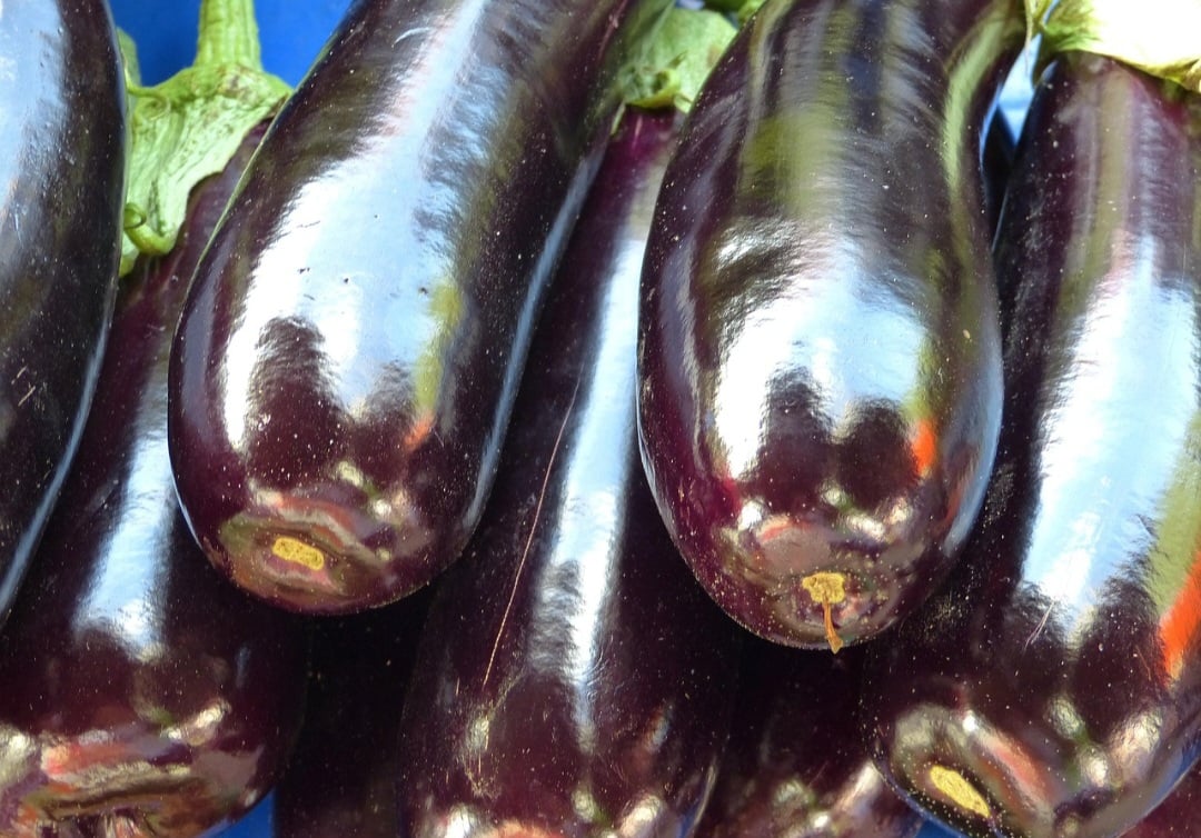 Por fim, a berinjela pode se transformar em um saboroso suco. Essa combinação suave, que pode ser facilmente aprimorada com outros ingredientes, proporciona um efeito positivo na saúde, contribuindo para o controle do colesterol.