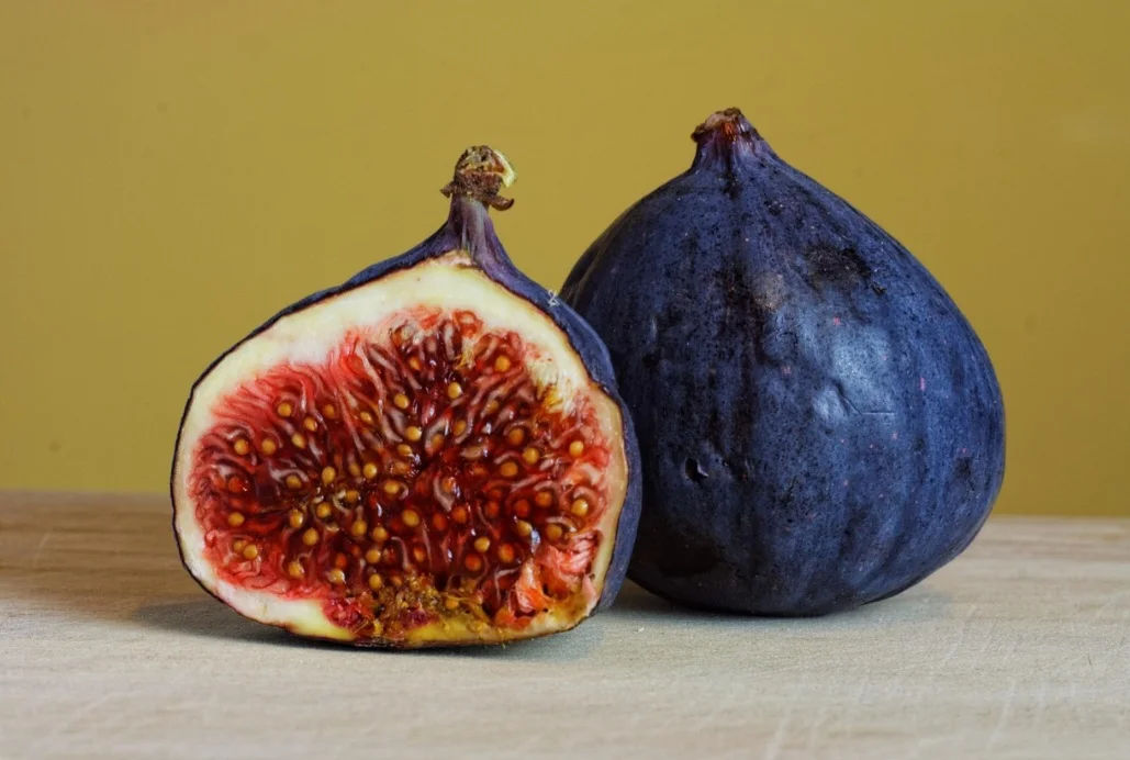 Ele é uma infrutescência, sendo um pseudofruto múltiplo, que se forma a partir da fusão de vários ovários de flores (sicônio). Cada flor contribui para a formação da estrutura final, assim como as da amendoeira ou da cerejeira.