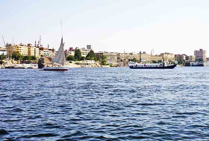 O motivo da poluição do Nilo é o despejo de esgoto industrial, por óleo, e drenagem agrícola. O consumo da água imprópria causa doenças, afetando a fauna aquática e causando escassez de água doce.