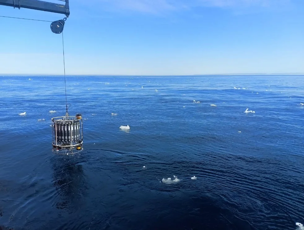 “Um bom exemplo está na costa catalã, onde a diminuição do número de dias transmontanos no inverno no Golfo de Leão e no norte da costa catalã está a provocar um enfraquecimento deste processo oceanográfico, que é decisivo na regulação do clima e tem um grande impacto nos ecossistemas profundos, explicou Anna Sanchez-Vidal.