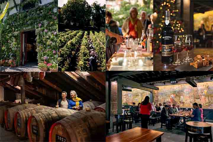 Com fácil acesso de Lisboa e boa infraestrutura, a ilha é ideal para quem deseja explorar um dos destinos mais autênticos de Portugal, com ótima relação custo-benefício. Vamos conhecer alguns de seus pontos turísticos mais famosos? Venha com o Flipar.