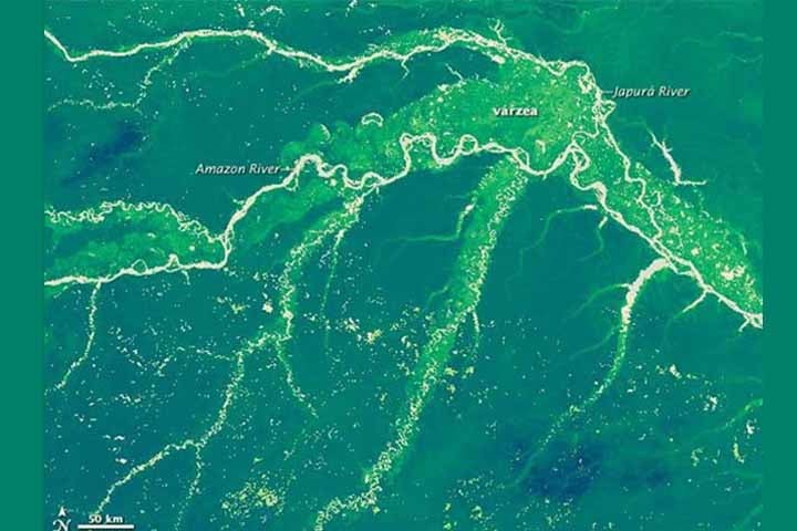 Ela abastece cidades e populações ribeirinhas, sua água é usada para atividades domésticas e para a agricultura e pecuária local. Além disso, contribui para a produção de insumos para consumo imediato nas cidades e criação de rebanhos.