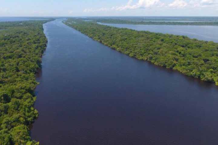 Elas destacam áreas em que sai uma quantidade menor de água dos rios do que entrou. A Bacia do rio Amazonas também é a bacia que mais descarrega água para o oceano. 