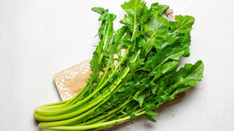 A chicória é rica em nutrientes que beneficiam o funcionamento correto do organismo (Imagem: OlgaBombologna | Shutterstock)