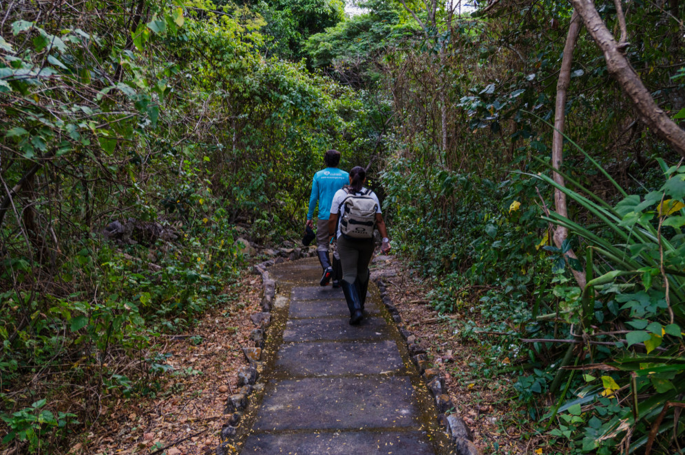 Samuel Portela e Sabrina Araújo, ambos da Associação Caatinga, caminham por uma trilha de concreto cercada por vegetação densa. Eles usam roupas confortáveis e mochilas, em um ambiente de mata fechada