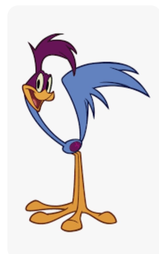 Inspirou o desenho do Papa-Léguas que passa a perna no Coiote e sempre emite o bip bip.