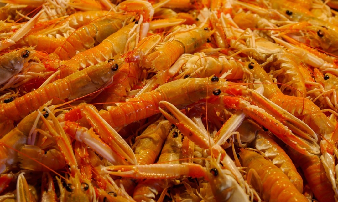 Esse alimento possui um pigmento conhecido como astaxantina, que confere a coloração rosada. Trata-se de um carotenóide que apresenta atividade antioxidante, eliminando radicais livre, de forma a proteger as membranas celulares e os tecidos corporais. 