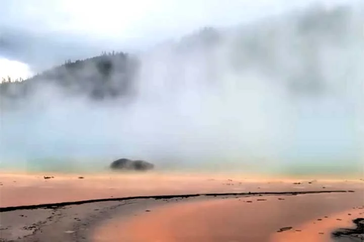 Embora os animais consigam sentir o calor, acidentes acontecem quando pisam em crostas frágeis nas bordas das fontes.