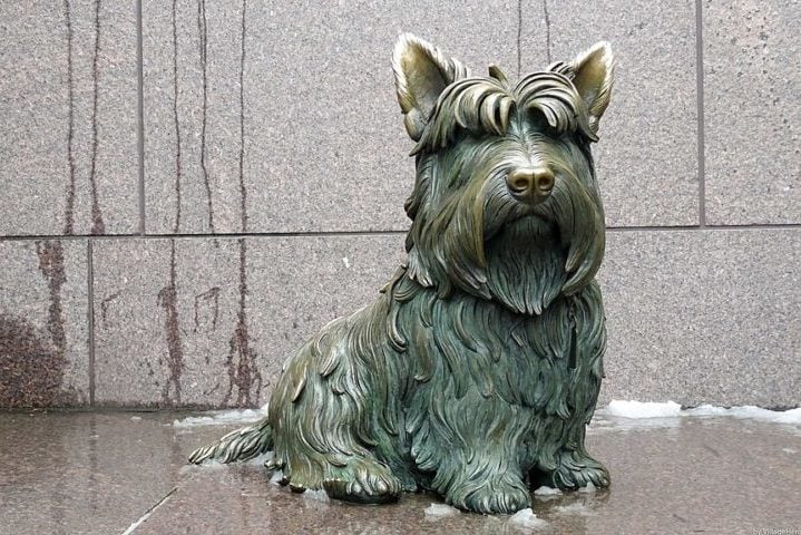 O Cão de Roosevelt, Washington (EUA): O cãozinho Fala era um grande companheiro do ex-presidente dos Estados Unidos, Franklin Roosevelt. Em sua homenagem, ele recebeu uma estátua ao lado do ex-mandatário. Reza a lenda que tocar no focinho ou nas orelhas do monumento traz boa sorte.