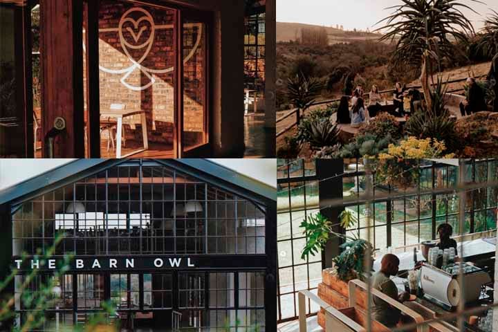 O Café Barn Owl, na Flórida, tem como objetivo promover aos indivíduos dedicados ao aprendizado. Quer seja um novato em busca de explorar o mundo do café ou um barista experiente em busca de aprimorar suas habilidades. Os encontros mensais são projetados para atender a todos os níveis de especialização.
