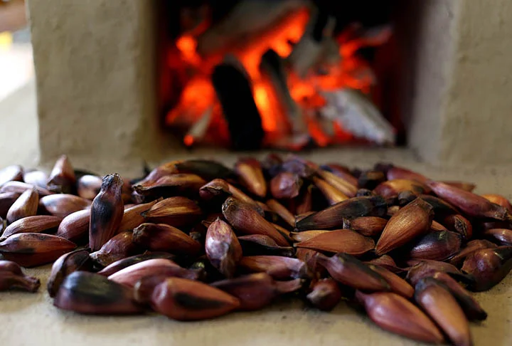 O pinhão possui ômega 6 e 9, que reduzem o colesterol ruim do organismo. Um fator considerado de risco para as doenças cardiovasculares.