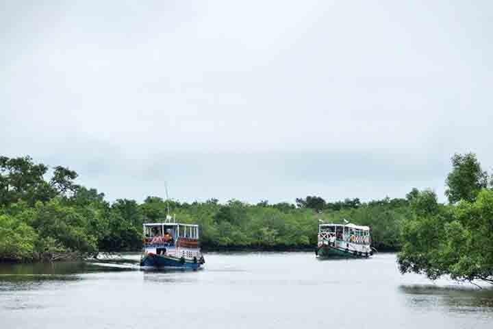 Khulna é conhecida por sua indústria de pesca e pelo porto de Mongla, que é o segundo maior do país. A cidade também está próxima da Floresta de Sundarbans, um dos maiores manguezais do mundo e lar do tigre-de-bengala.
