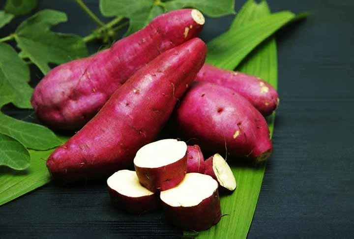 A batata-doce é um superalimento que oferece uma infinidade de benefícios à saúde. Seu consumo regular pode auxiliar na prevenção de doenças, no fortalecimento do sistema imunológico, na manutenção de um intestino saudável e até mesmo na melhora do humor.