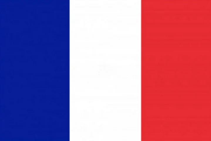 A letra de La Marseillaise exalta a liberdade e a luta contra a opressão, convocando os cidadãos a pegar em armas e lutar contra a tirania. É considerado por muitos um dos hinos mais bonitos do mundo. 