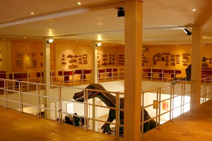 O museu, fundado em 1985, tem 7 mil itens, incluindo vegetais e animais petrificados. E mantém uma videoteca com material audiovisual que auxilia na pesquisa. 