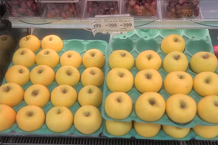 Oferecer frutas como presente vai além de uma simples expressão de gratidão. É uma prática profundamente enraizada no Japão. Desde os rituais budistas até as oferendas nos altares xintoístas, as frutas desempenham um papel significativo.