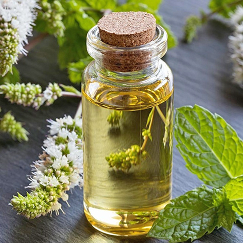 Óleo de menta -  Concentrado em mentol, tem um cheiro extremamente forte que incomoda as abelhas. Ele interfere em sua comunicação olfativa e senso de navegação. É amplamente utilizado para repelir vários tipos de insetos. E ainda faz bem à saúde humana. Refrescante e revigorante, tem ação antimicrobiana, adstringente, analgésica e antiinflamatória, além de estimular a circulação do sangue. 