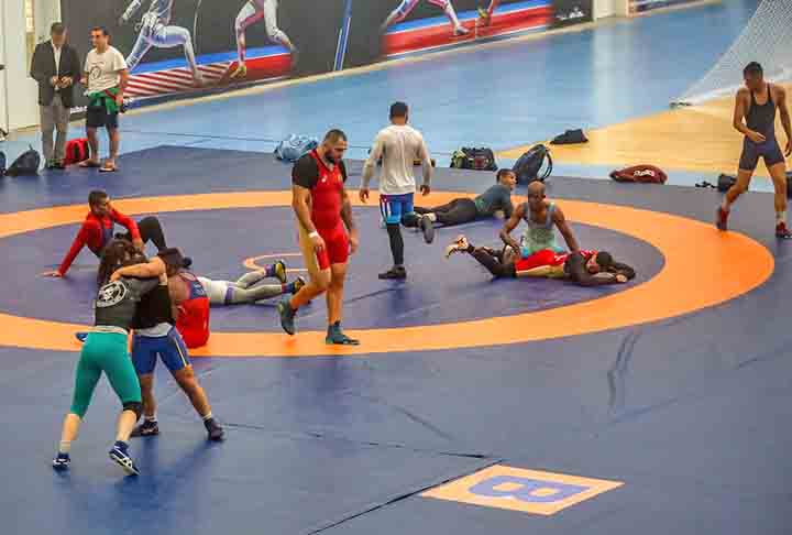 Luta greco-romana- Oriunda da Grécia Antiga e desenvolvida durante o Império Romano, é uma forma de luta corpo a corpo que enfatiza o uso de técnicas de agarrar e arremessar o oponente, com restrições ao uso das pernas.