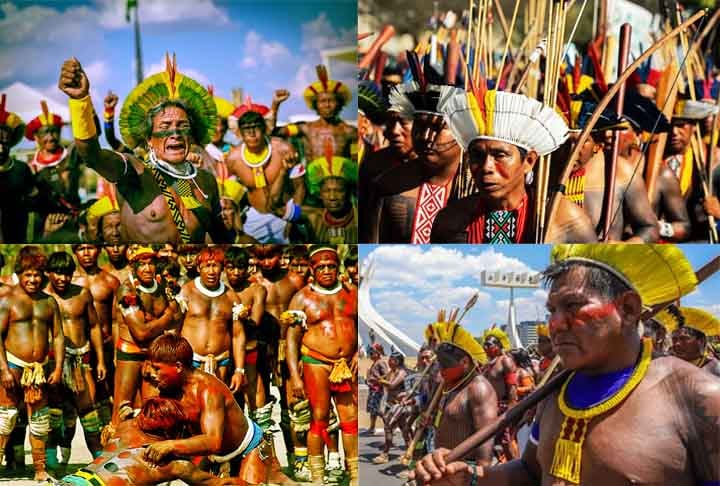 Brasil: Tem mais de 300 povos indígenas, com destaque para os Yanomami, Guarani e Kayapó. Cerca de 13% do território nacional é destinado às reservas indígenas, mas essas terras enfrentam pressão do agronegócio e da mineração. Apesar das dificuldades, os povos indígenas são essenciais para a conservação da biodiversidade.
