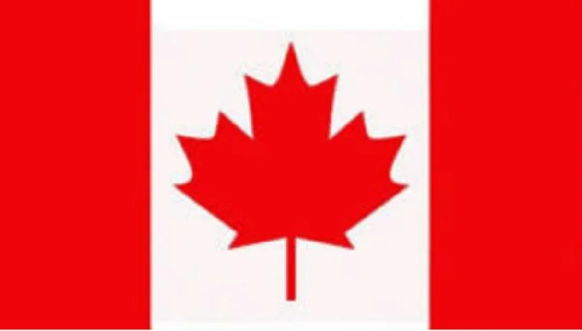 A bandeira do Canadá exalta a natureza do país, representada por uma estilização da folha de bordo, muito comum no território canadense. 