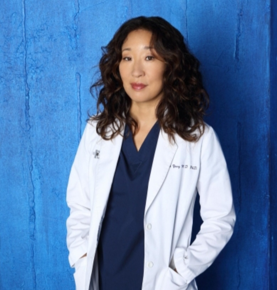 Trata-se Dra. Cristina Yang da série  Grey’s Anatomy (2005–2014), que lhe rendeu prêmios como Globo de Ouro e SAG  . 