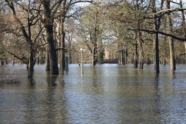 A paisagem da região naquela época incluía florestas temperadas, pastagens e áreas alagadas, o que atraía uma rica fauna composta por elefantes, cervos, cavalos e outras espécies hoje extintas.